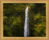 Akaka Falls, Hawaii