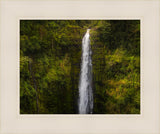 Akaka Falls, Hawaii