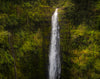 Akaka Falls, Hawaii