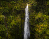 Akaka Falls, Hawaii