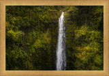 Akaka Falls, Hawaii