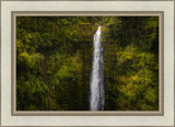 Akaka Falls, Hawaii