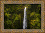 Akaka Falls, Hawaii