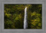 Akaka Falls, Hawaii