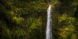 Akaka Falls, Hawaii