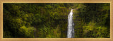 Akaka Falls, Hawaii