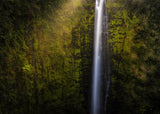 Akaka Falls Aloha