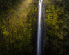 Akaka Falls Aloha