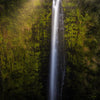 Akaka Falls Aloha