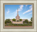 Albuquerque Morning Tranquility