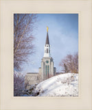 Boston Morning Snow Vertical