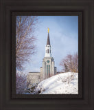 Boston Morning Snow Vertical