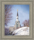 Boston Morning Snow Vertical