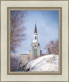 Boston Morning Snow Vertical