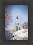 Boston Morning Snow Vertical