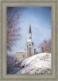 Boston Morning Snow Vertical