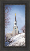 Boston Morning Snow Vertical