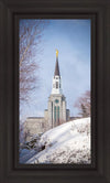 Boston Morning Snow Vertical