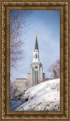 Boston Morning Snow Vertical