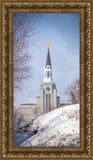 Boston Morning Snow Vertical