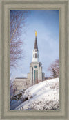 Boston Morning Snow Vertical