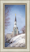 Boston Morning Snow Vertical