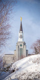 Boston Morning Snow Vertical