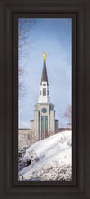 Boston Morning Snow Vertical