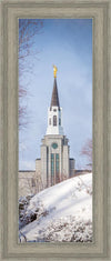 Boston Morning Snow Vertical