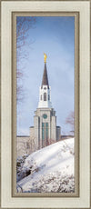 Boston Morning Snow Vertical