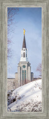 Boston Morning Snow Vertical