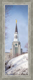 Boston Morning Snow Vertical