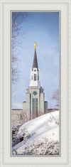 Boston Morning Snow Vertical