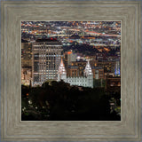 Salt Lake Temple City View