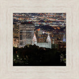 Salt Lake Temple City View