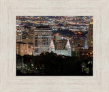 Salt Lake Temple City View