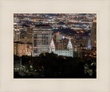 Salt Lake Temple City View