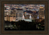 Salt Lake Temple City View