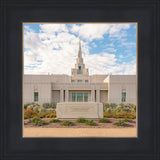 Phoenix Temple Desert Oasis