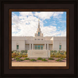 Phoenix Temple Desert Oasis