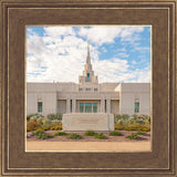 Phoenix Temple Desert Oasis