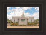 Phoenix Temple Desert Oasis