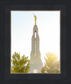 Redlands Temple Heavenly Glow