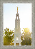 Redlands Temple Heavenly Glow