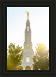 Redlands Temple Heavenly Glow