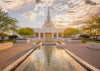 Phoenix Temple Golden Reflections