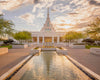 Phoenix Temple Golden Reflections