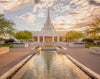 Phoenix Temple Golden Reflections