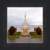 Detroit Temple After The Storm