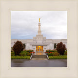 Detroit Temple After The Storm